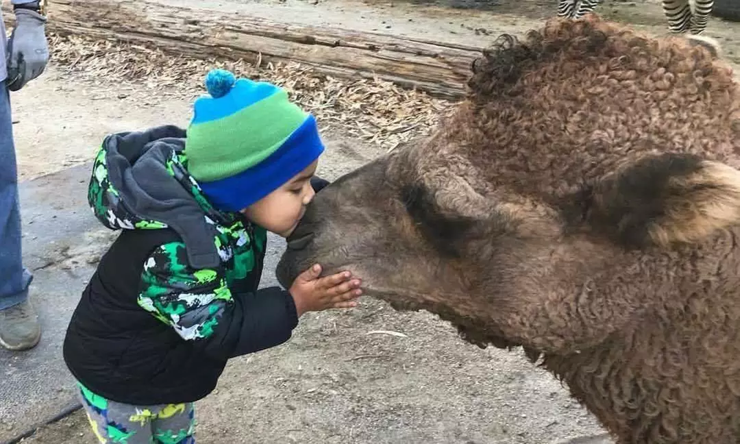 Up to 34% Off on Zoo / Animal Park at Reptacular Animals - Primary Image
