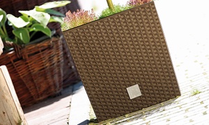 One, Two or Four Rattan-Effect Square Flower Pots