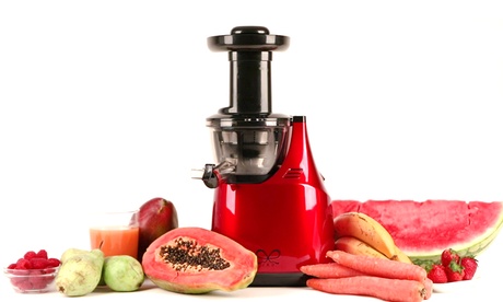 Estrattore di succo JRD a bassa velocità