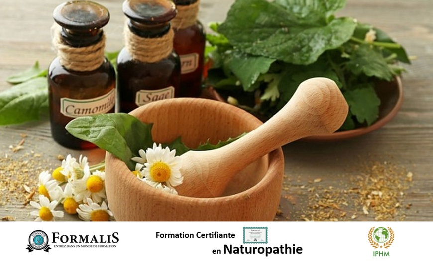 Image 1: Formation en naturopathie