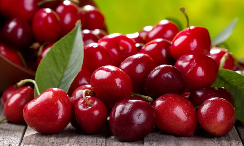 Dwarf Patio Fruit Tree Collection - 3 or 5 Potted Plants