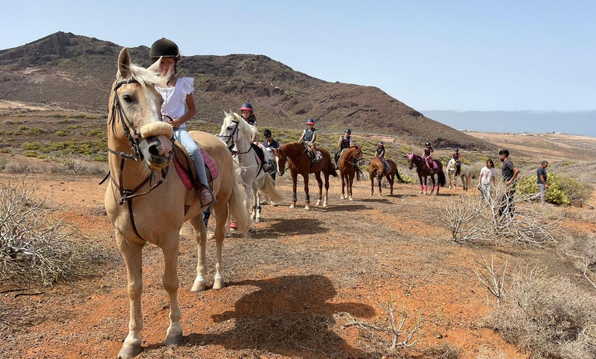 Image 8: ♞ Paseo a caballo para 2 personas con Horse Riding Canaria