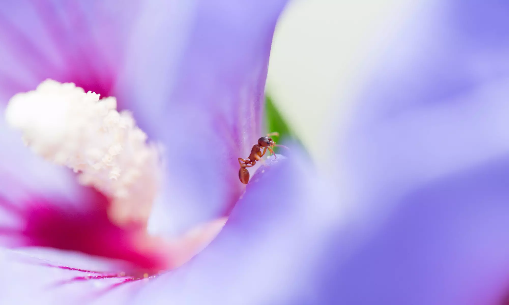 Bis zu 50% Rabatt auf den Fotografie bei Fotografie Klein