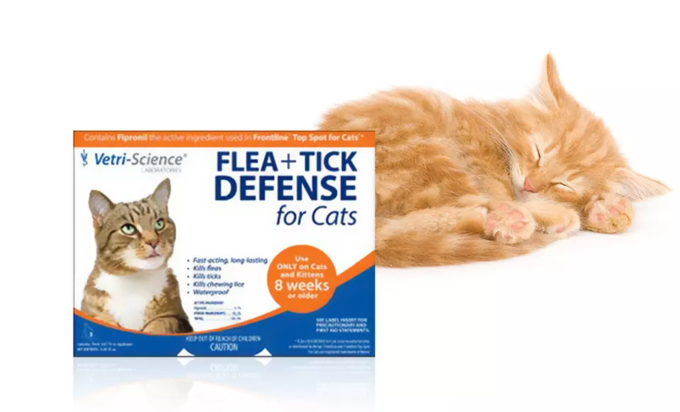 Fipronil Flea & Tick Treatment for Cats (3 or 12 Doses) - Primary Image
