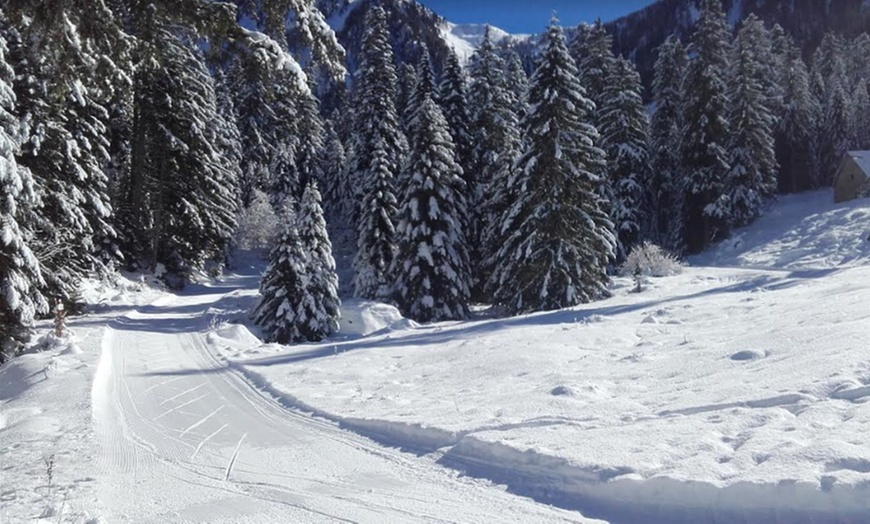 Image 11: parc du Mercantour : 2 nuits avec entrées au parc Alpha Loup 