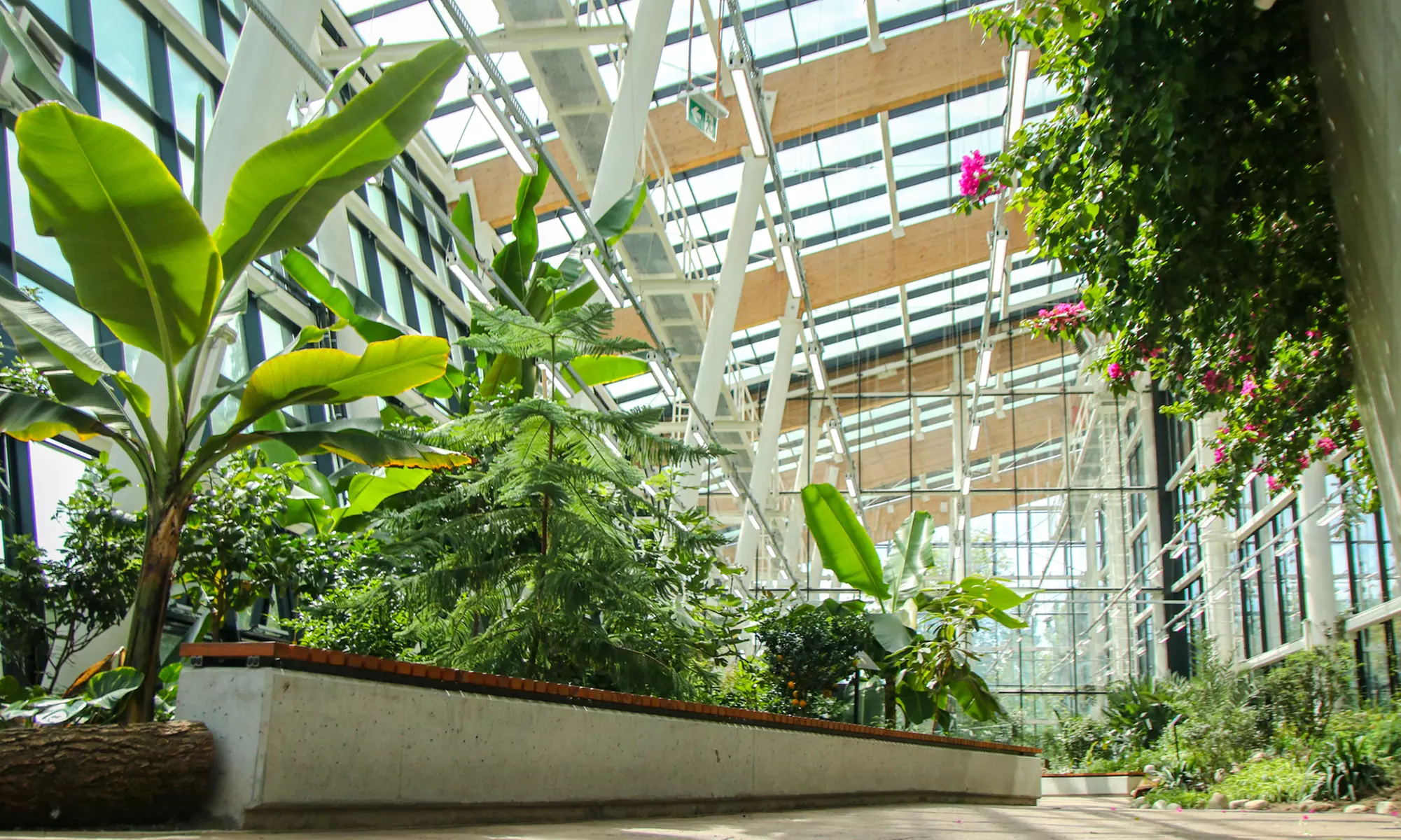 Zobacz z bliska egzotyczne rośliny i zwierzęta: bilety do Egzotarium