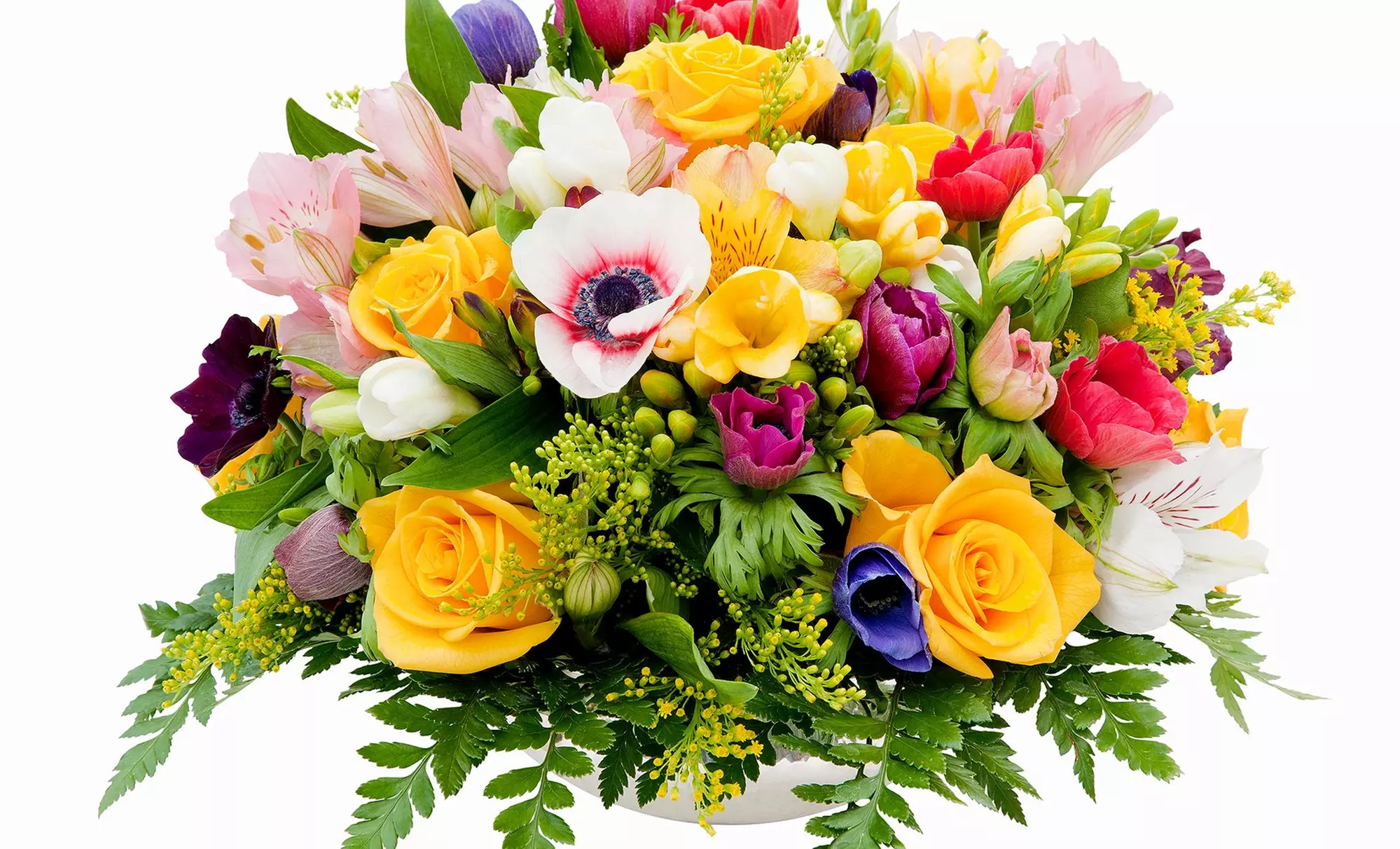 15% Off Flowers &amp; Plants - Primary Image