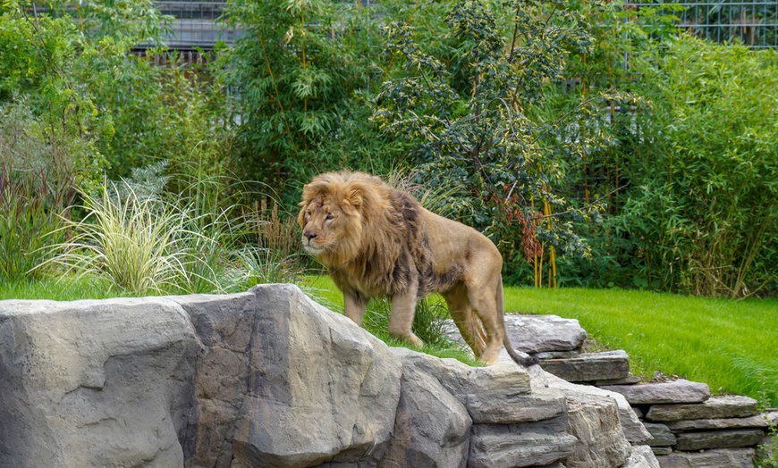 Image 10: Tageskarte Kölner Zoo & Aquarium