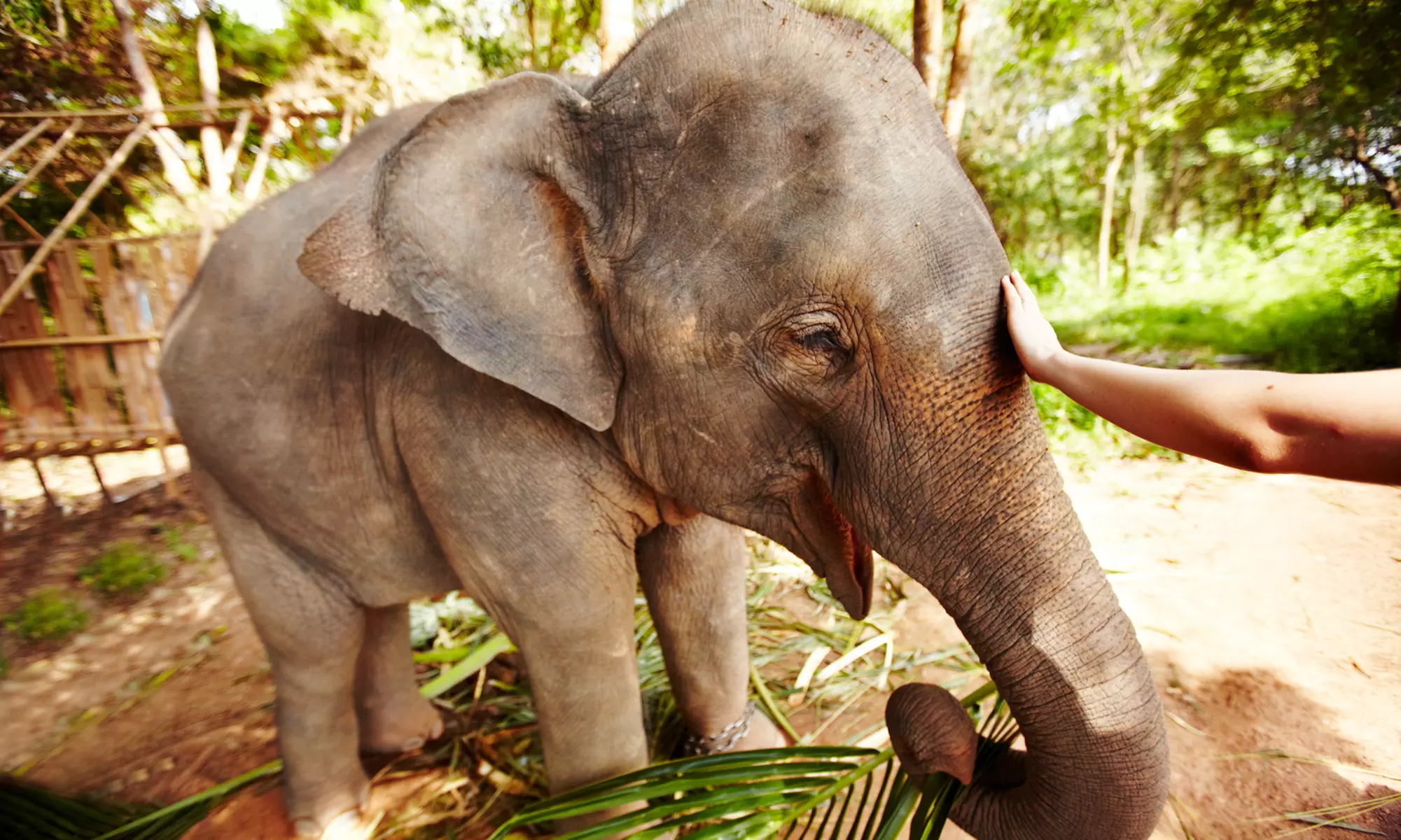 ✈ 10-Day or 13-Day Tour of Thailand w/ Air from Affordable World