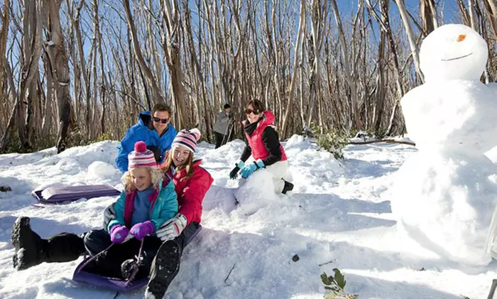 Day Trip to Lake Mountain Snow Tour for Infant, Child or Adult