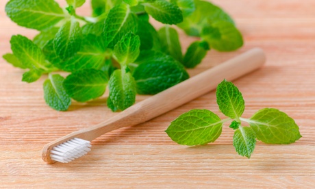 1 o 5 spazzolini da denti con supporto in bambù, eco-friendly