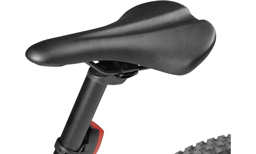 Image 10: Elektrische fiets 250 Watt