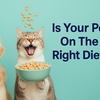Image 1: Up to 56% Off At-Home Pet Food Sensitivity Testing