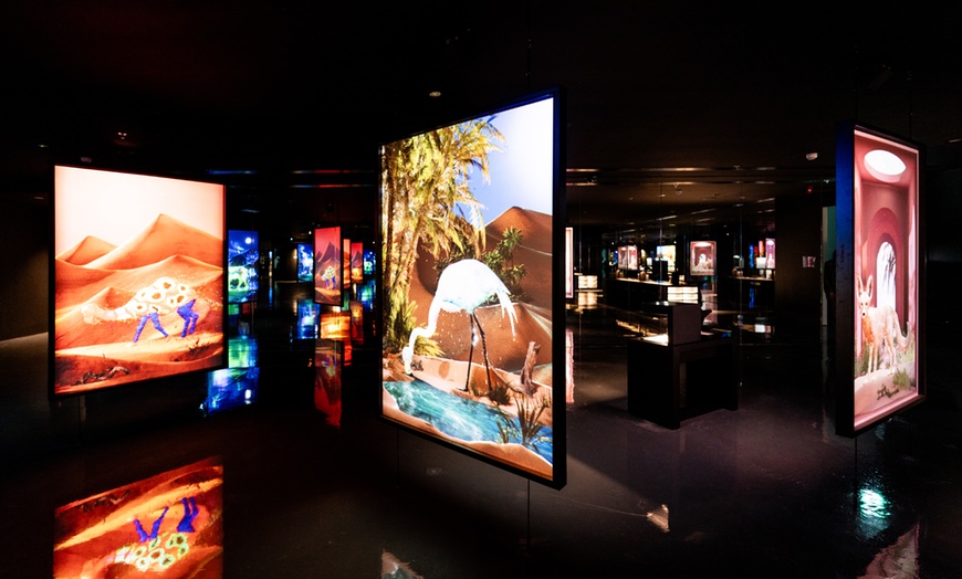 Image 7:  Experience Art Brought to Life Through Light and Sound