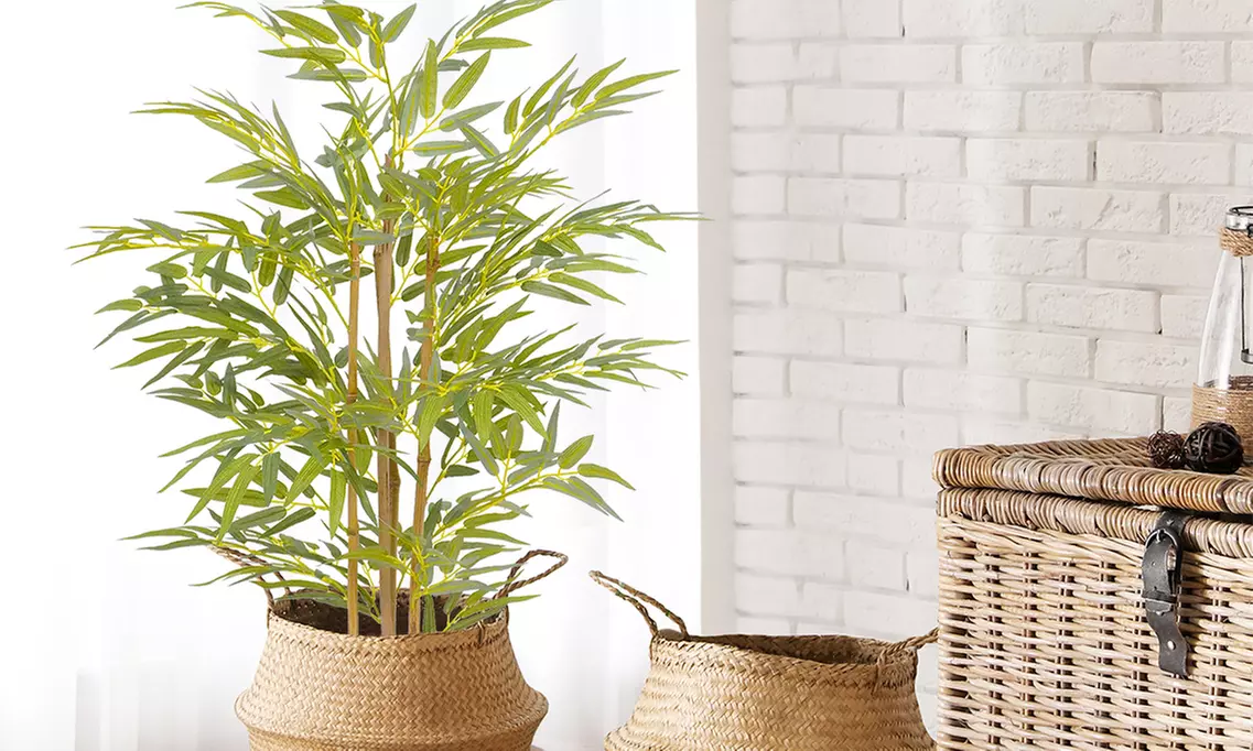 Collezione di piante finte da interno