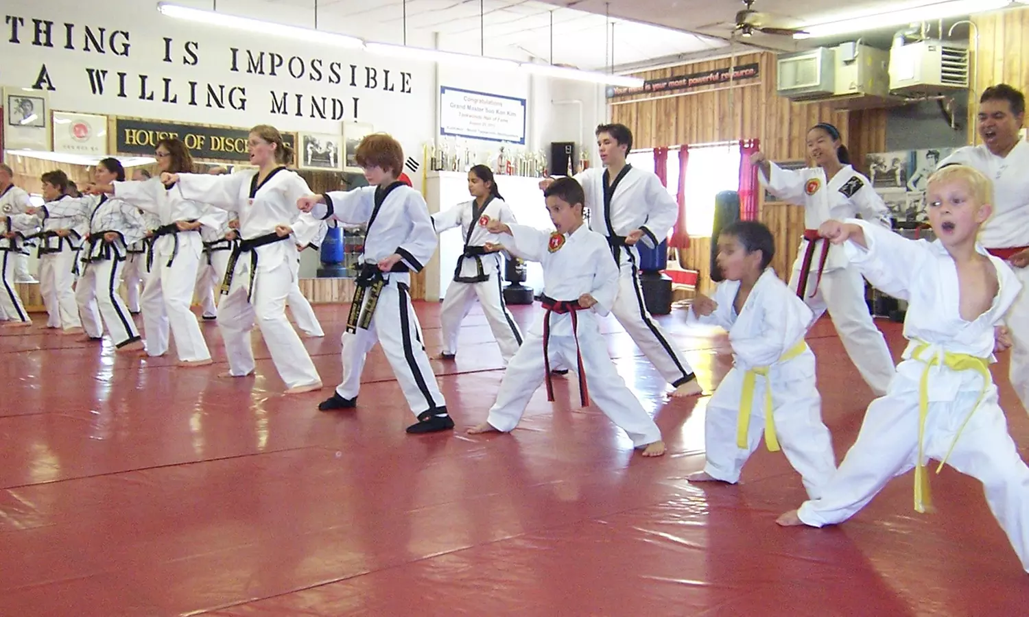 $55 for One Month of Martial Arts Classes for One at Soo Kim Martial Arts Institute ($150 Value) - Primary Image