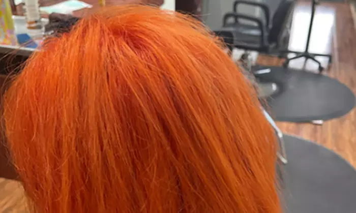 Haircut with Single-Process Color, Highlights, Balayage, and More