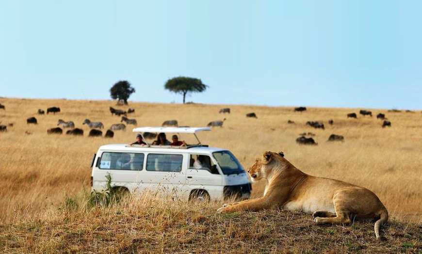 Image 1: ✈ Kenya: 3-Night Safari Experience with Flights