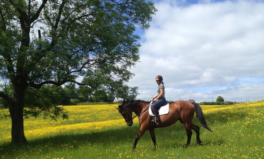 Image 1: One-Hour Horse Riding Lesson