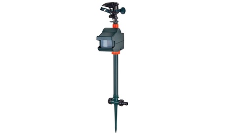 Repellente per gatti Pest XT Spray per esterni con sensore di movimento