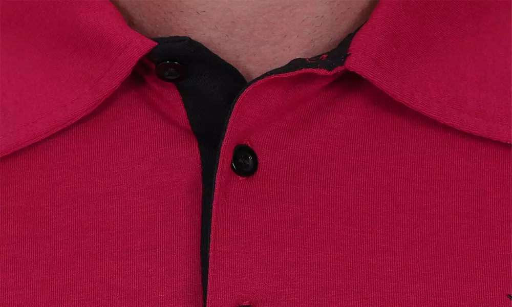 2 poloshirts voor heren van Blu Apparel