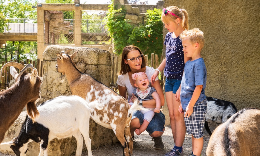 Image 4: Zoo Osnabrück: Tageseintritt für 1-2 Pers. o. XXL Familien-Jahreskarte