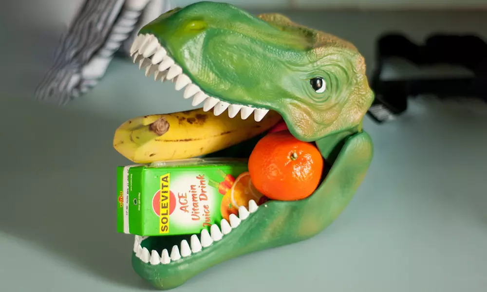 Dino Case Lunch Box - Primary Image