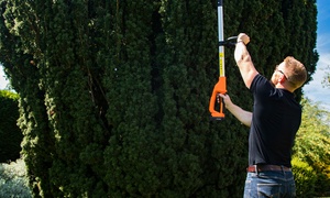 Cordless Hedge Trimmer