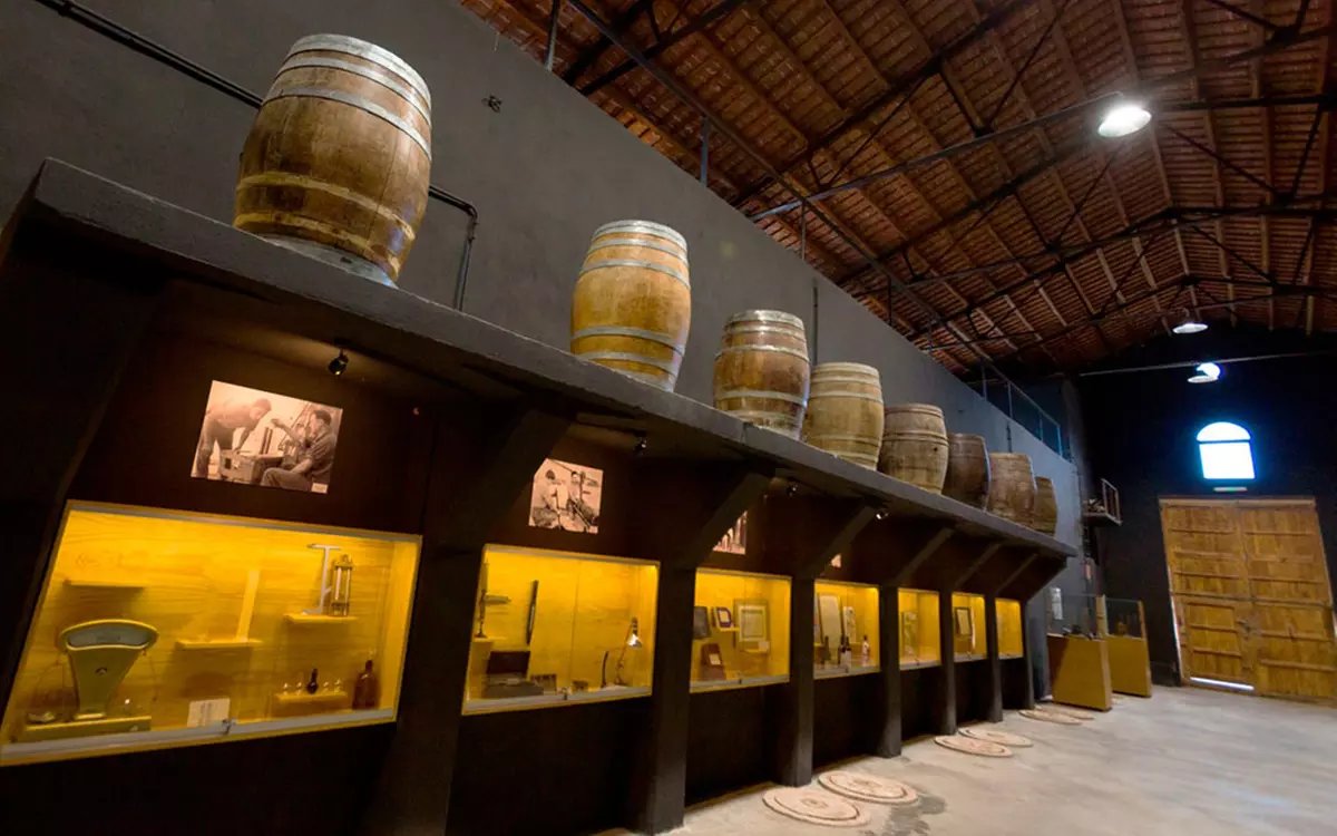 Visita a bodega más cata en Besalduch Valls And Bellmunt