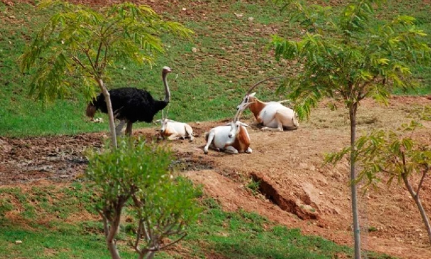 Image 19: Entrada de un día para niño o adulto en Terra Natura Murcia