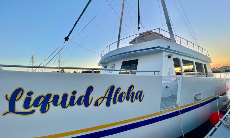 Image 2: Glass Bottom Whale Watching Cruise at Waikiki
