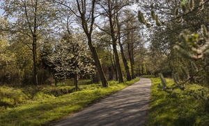 Natuur in Eindhoven: tweepersoonskamer in het centrum