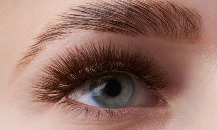 Enhance Your Brows with Lamination, Tint, or Wax and Shape