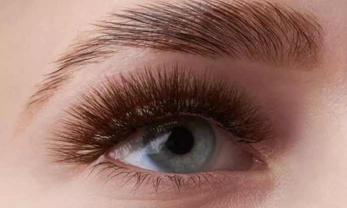 Enhance Your Brows with Lamination, Tint, or Wax and Shape