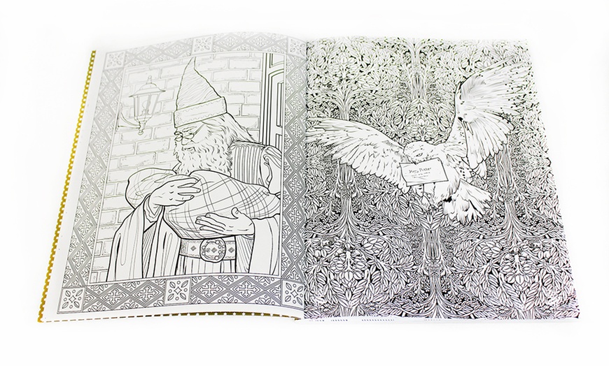 Image 3: Harry Potter Adult Coloring Book