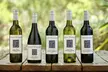 Experience Faber Vineyard's Wine tasting and gourmet sharing plate for 2 or 4 People (Up to 53% Off) - Second Medium