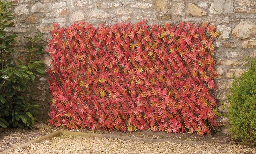 Image 7: Artificial Hedge Trellis