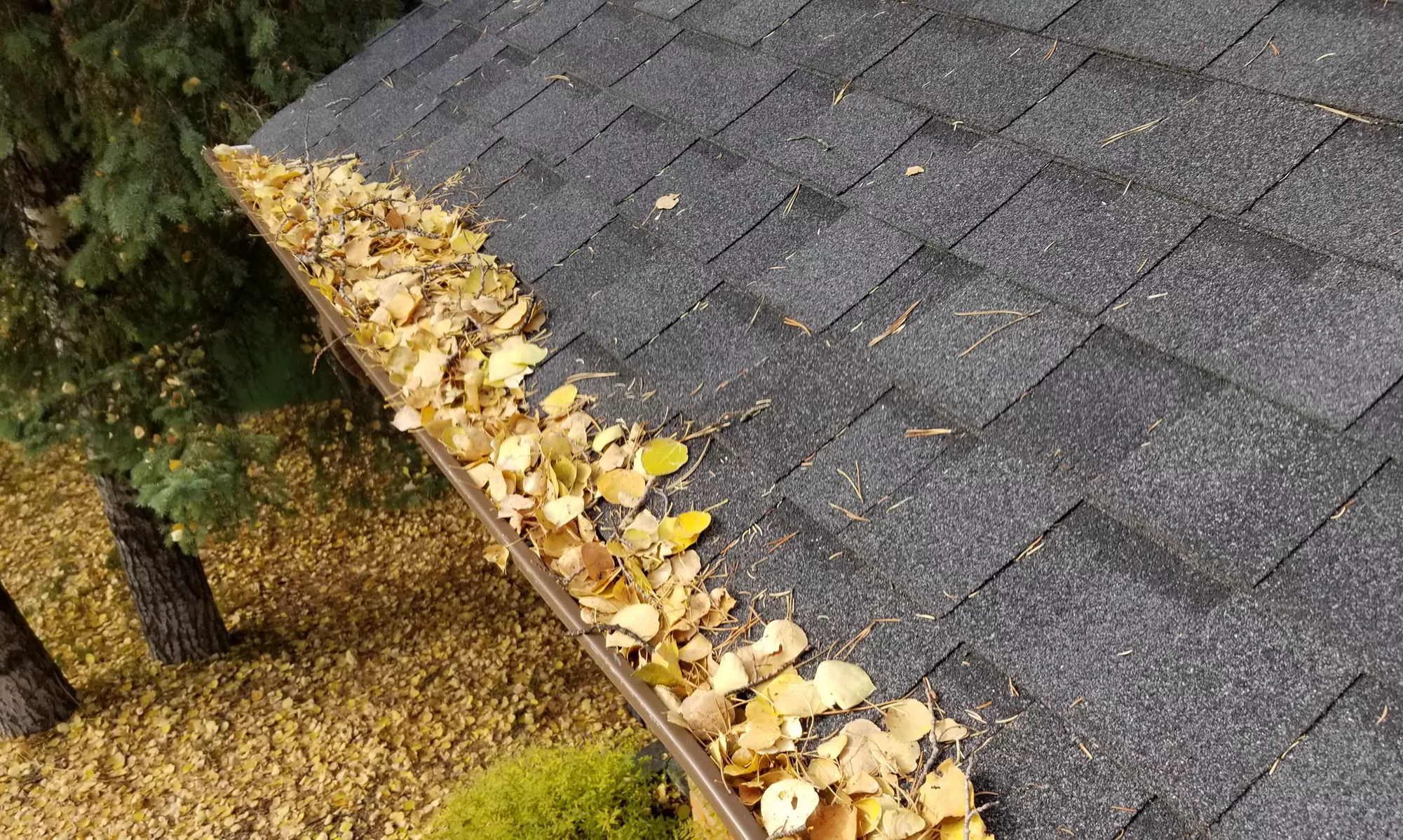 Gutter Cleaning for a Single- or Two-Story Home Up to 2,500 Sq. Ft. from Filthy Masters (Up to 42% Off) - Primary Image