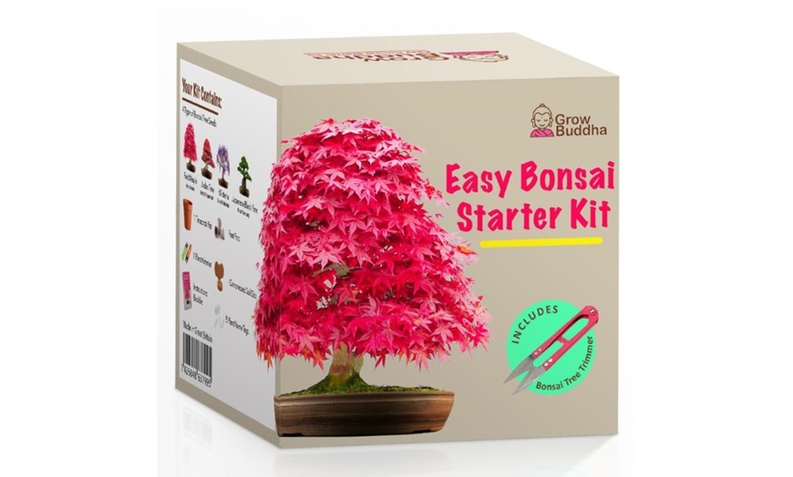 Image 1: Grow Your Own Bonsai Starter Kit