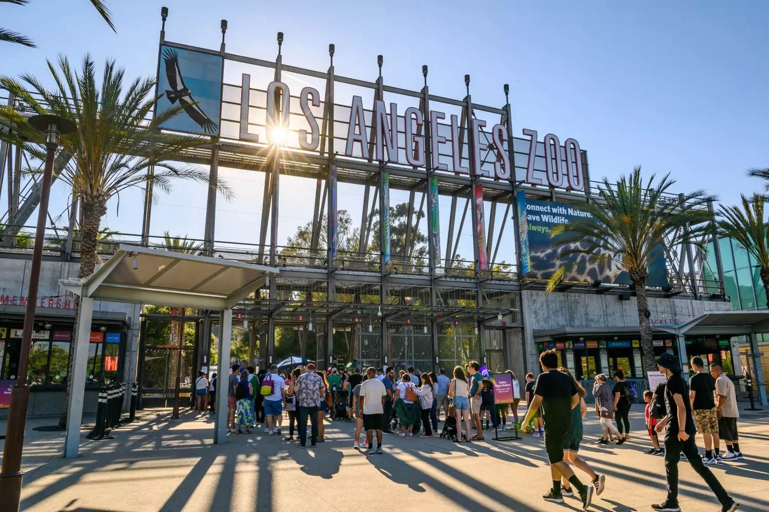  Admission for One Child or Adult to Zoo Friday Nights at Los Angeles Zoo (Up to 16% Off) - Primary Image