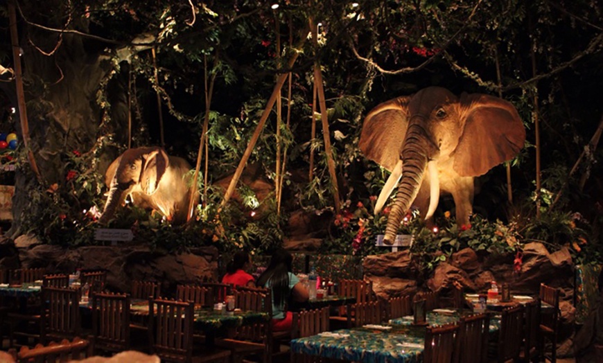 Image 3: Value Voucher, Rainforest Cafe