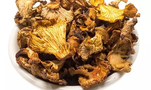 One or Two Mini-Mushroom Farms, or 2oz of Dried Chanterelles at Far West Fungi (Up to 50% Off) - Second Medium