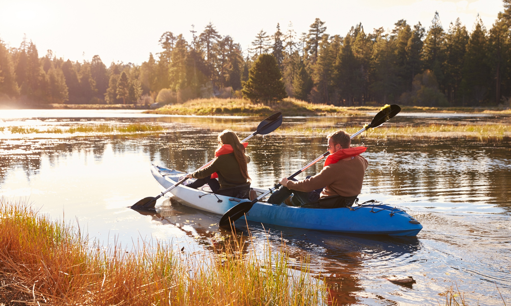 Kayak Honey Island Swamp Tour