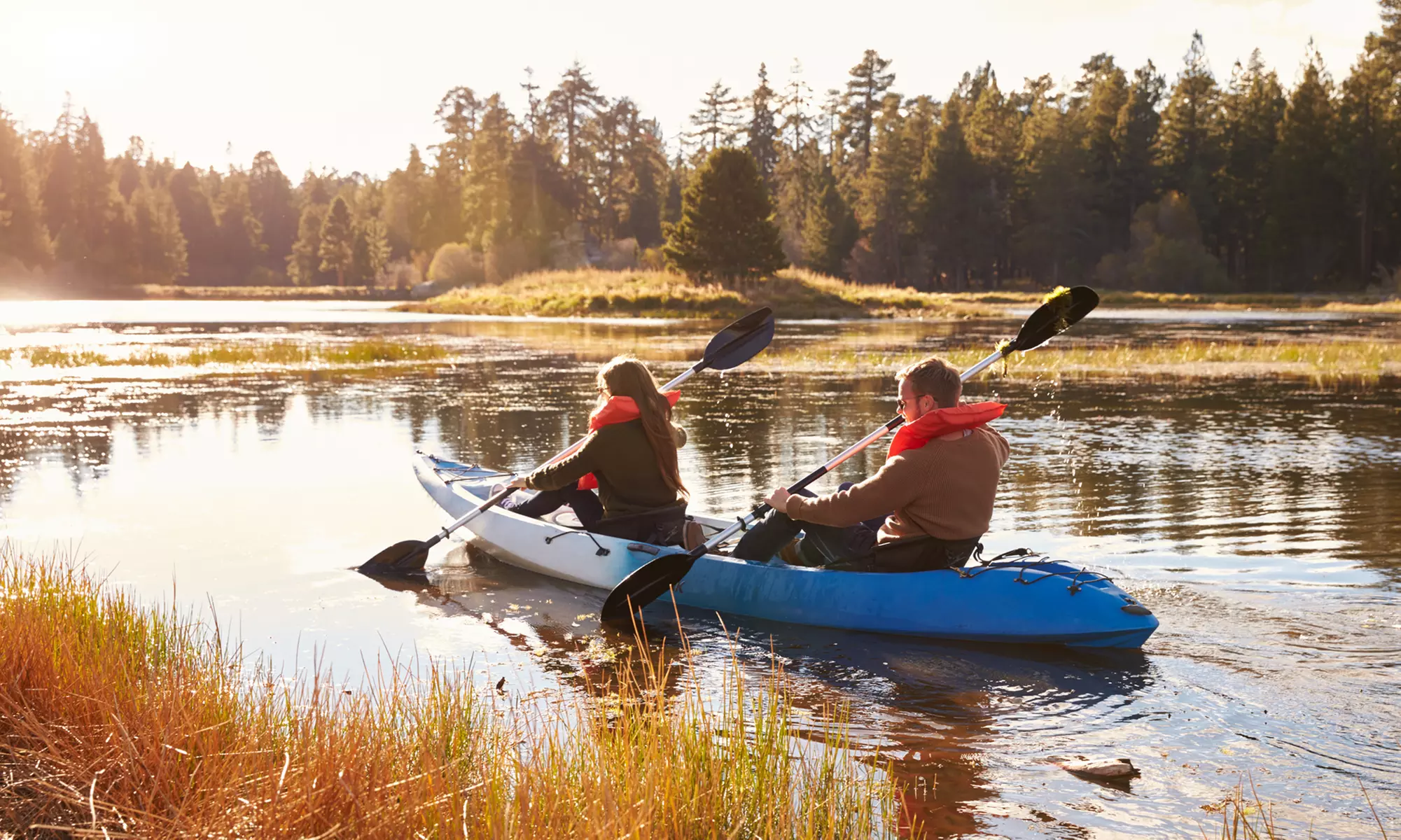Kayak Honey Island Swamp Tour