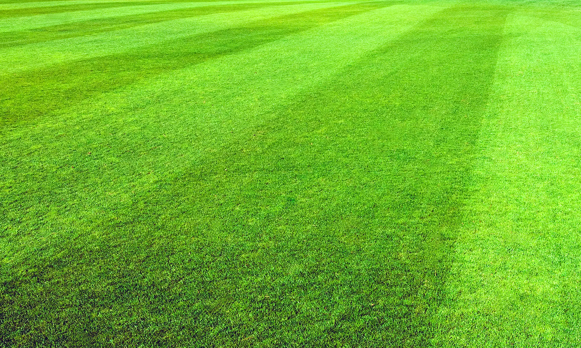 33% Off Lawn Mowing Service - Primary Image