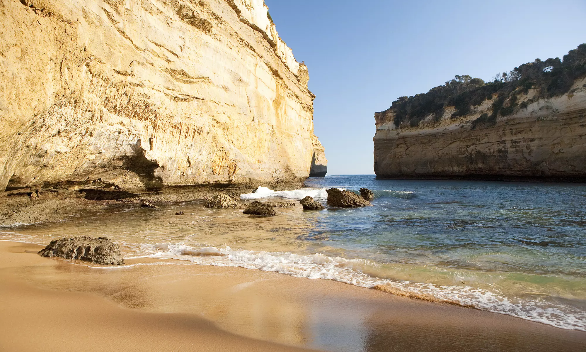 Ultimate Great Ocean Road Morning Escape Day Tour for Infant to Adult
