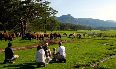 Safari guidé à pieds d'1h30 pour enfants et/ou adultes dès 8 € à la Réserve Biologique des Monts D'Azur