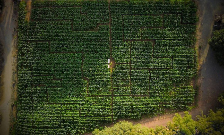 Image 3: ¡Día de naturaleza! Entrada al jardín histórico y botánico Parc Samà