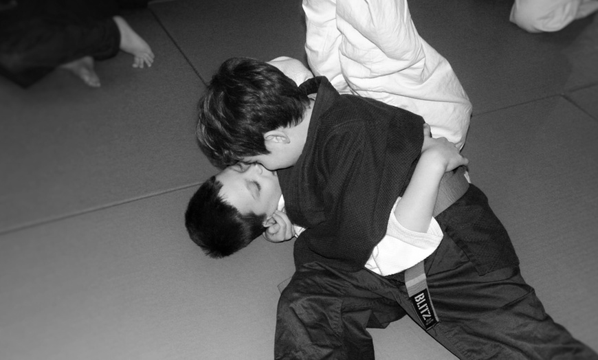 Image 2: Judo Classes, Kidbrooke