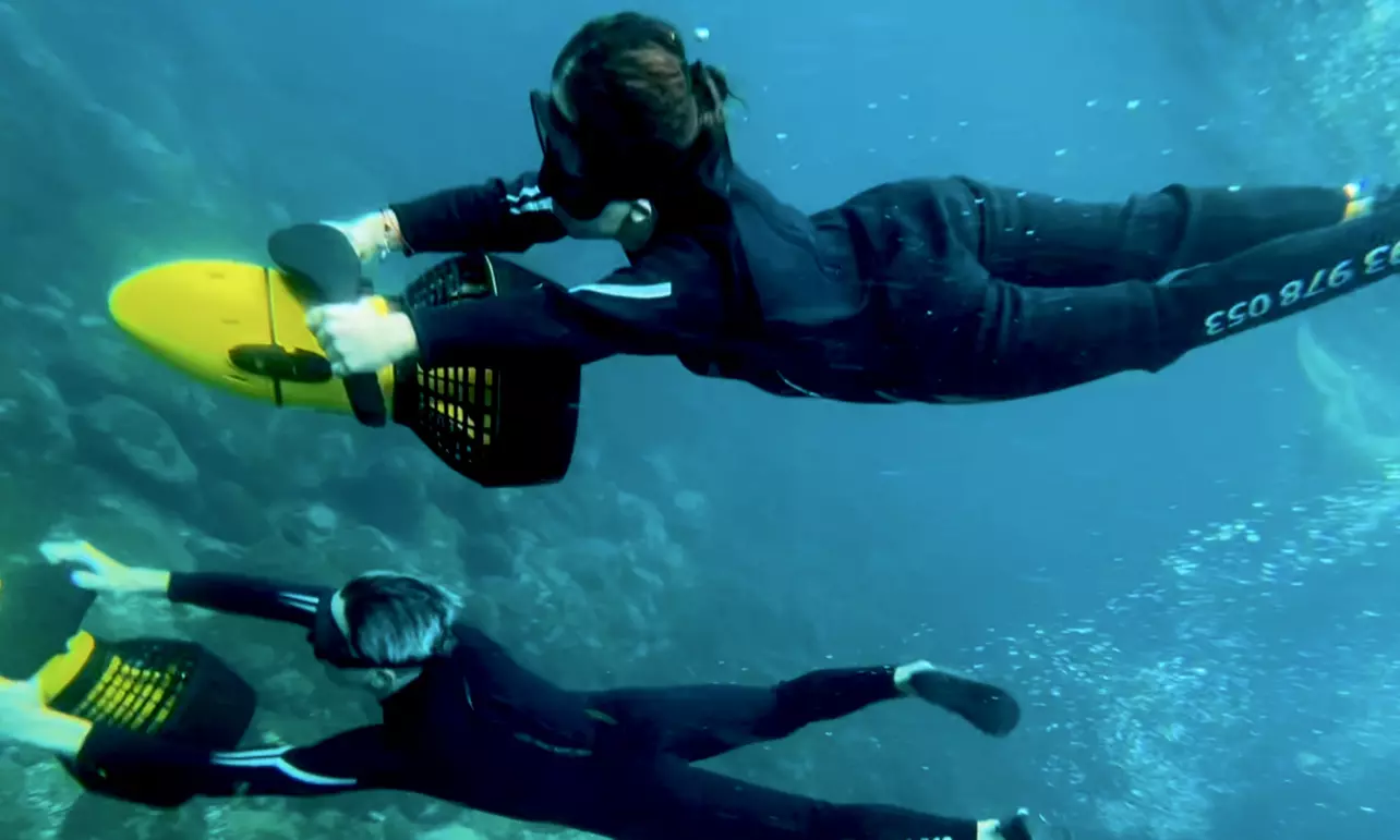 Experiencia de snorkel con propulsor acuático y opción a snacks y fotos para 2 o 4 personas; ahorra hasta un 36% - Primary Image